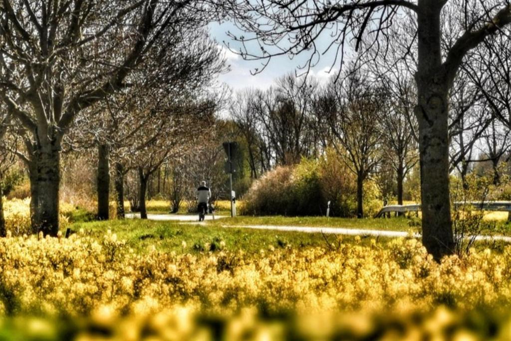 Apartmentvermittlung Mehr Als Meer - Objekt 11 Timmendorfer Strand Exteriör bild